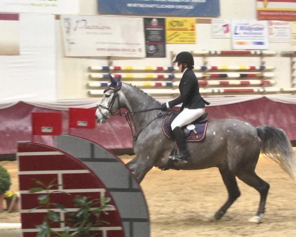 Reitturnier Eicherloh 2018
