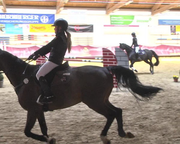 Reitturnier Eicherloh 2018
