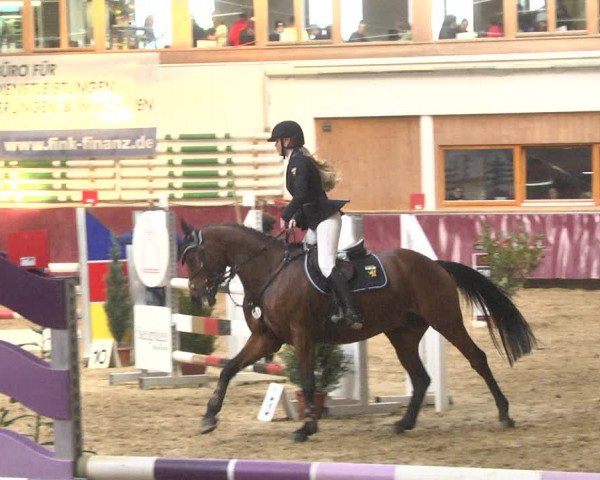 Reitturnier Eicherloh 2018