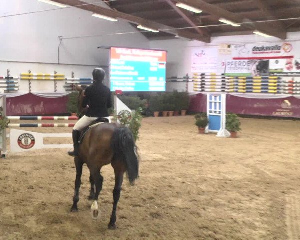 Reitturnier Eicherloh 2018