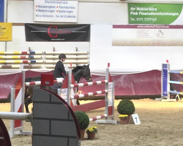 Reitturnier Eicherloh 2018