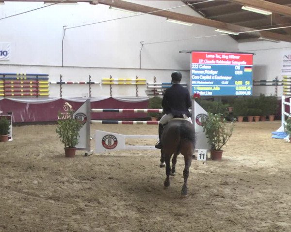 Reitturnier Eicherloh 2018