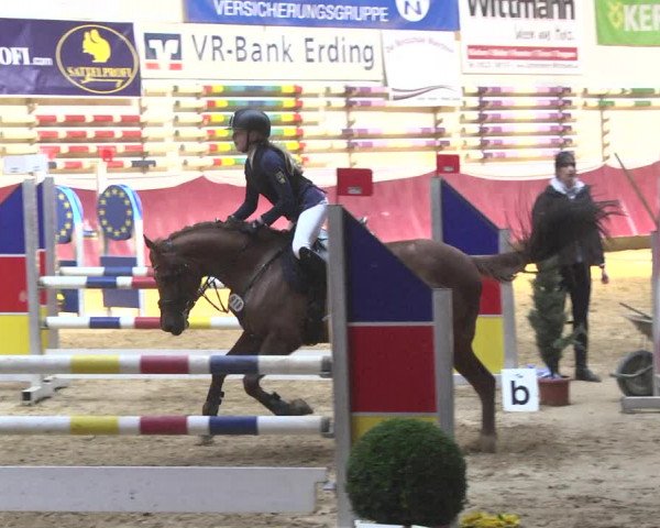 Reitturnier Eicherloh 2018