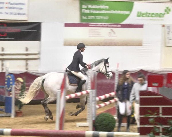 Reitturnier Eicherloh 2018