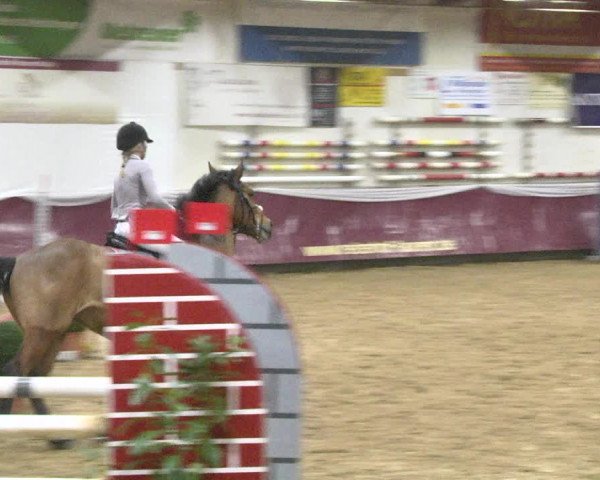 Reitturnier Eicherloh 2018