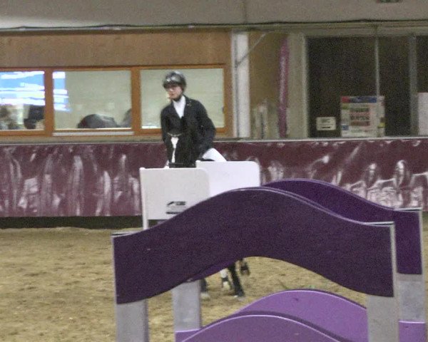 Reitturnier Eicherloh 2018