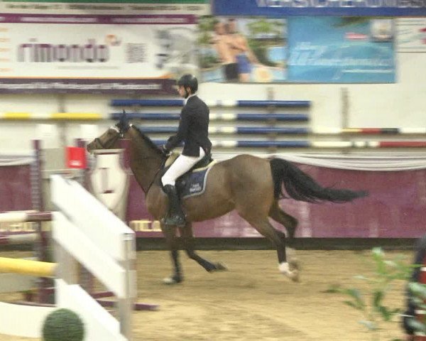 Reitturnier Eicherloh 2018