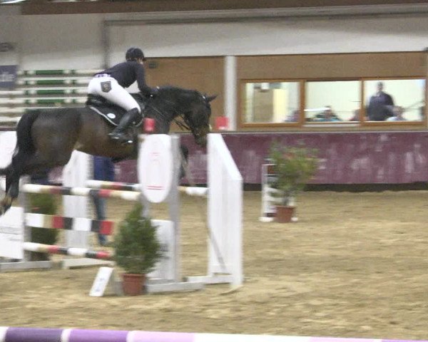 Reitturnier Eicherloh 2018