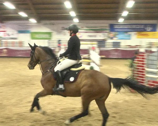 Reitturnier Eicherloh 2018