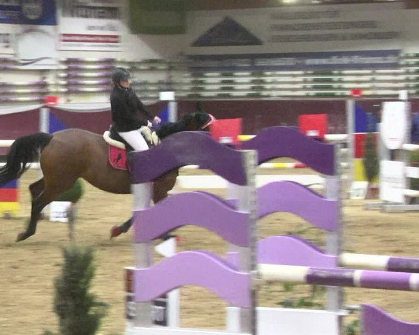 Reitturnier Eicherloh 2018