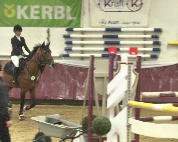 Reitturnier Eicherloh 2018