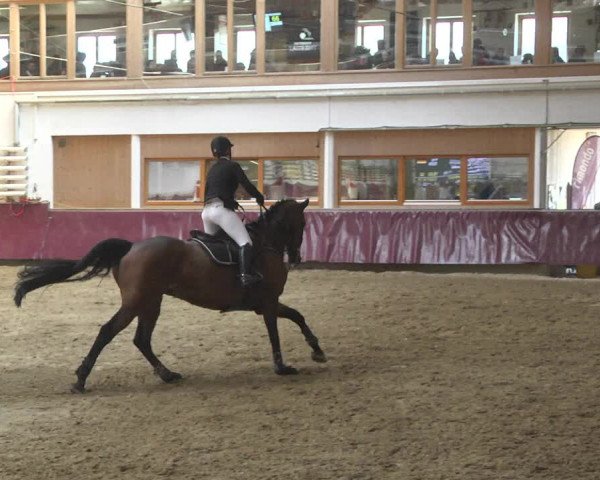 Reitturnier Eicherloh 2018