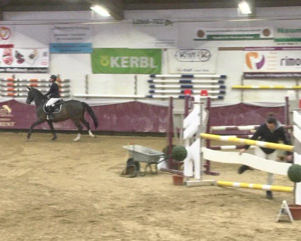 Reitturnier Eicherloh 2018