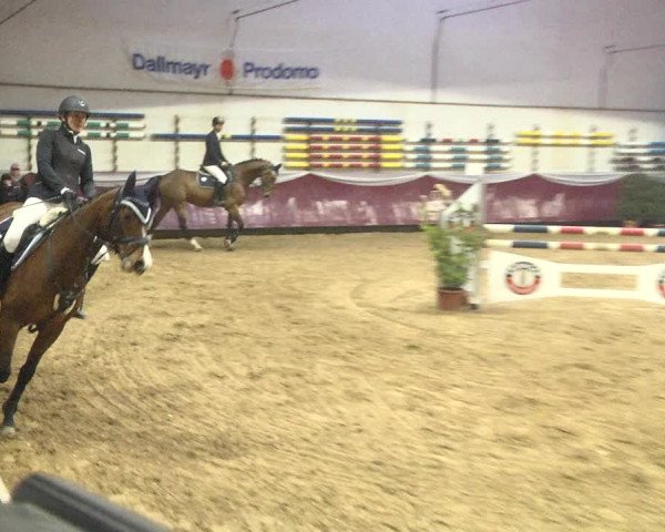 Reitturnier Eicherloh 2018