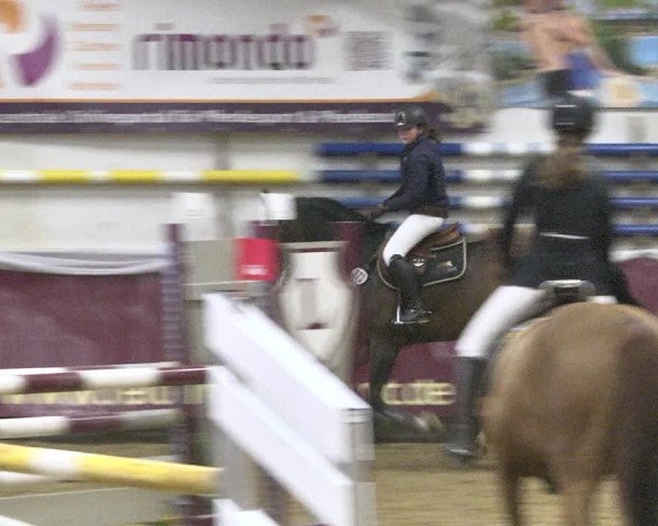 Reitturnier Eicherloh 2018