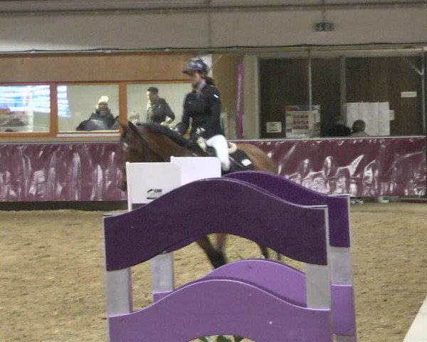 Reitturnier Eicherloh 2018