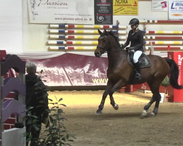 Reitturnier Eicherloh 2018