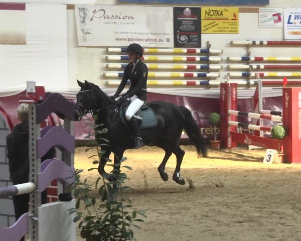 Reitturnier Eicherloh 2018