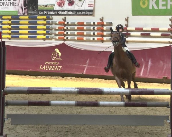 Reitturnier Eicherloh 2018