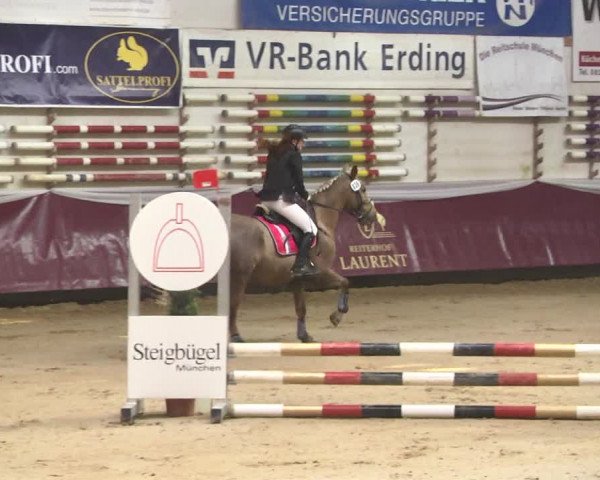 Reitturnier Eicherloh 2018