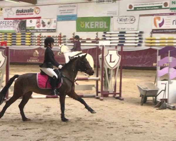 Reitturnier Eicherloh 2018