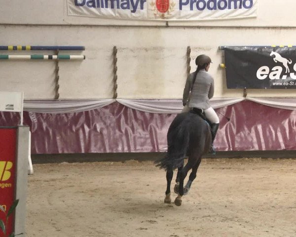 Reitturnier Eicherloh 2018