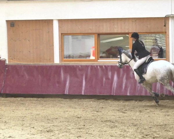 Reitturnier Eicherloh 2018