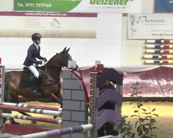 Reitturnier Eicherloh 2018