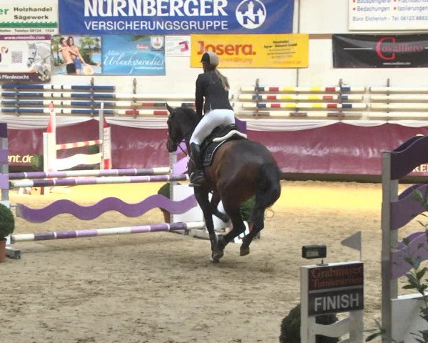 Reitturnier Eicherloh 2018
