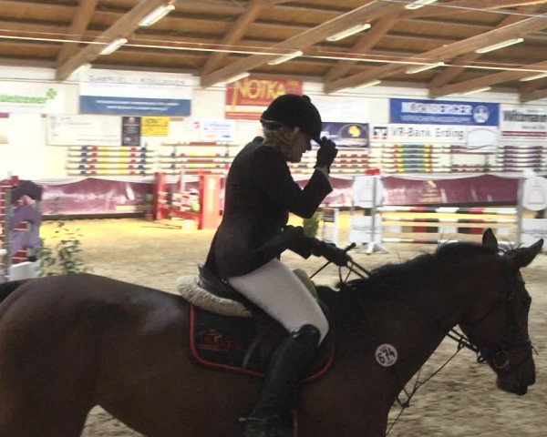 Reitturnier Eicherloh 2018