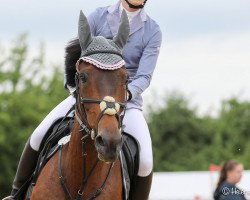 broodmare Biti (Württemberger, 2005, from Baldini I)