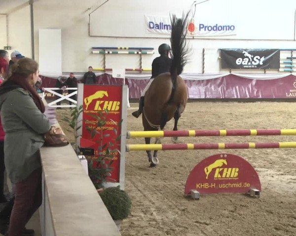Reitturnier Eicherloh 2018