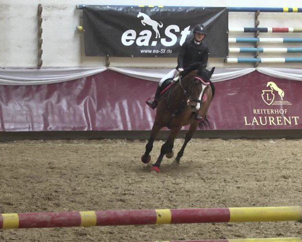 Reitturnier Eicherloh 2018