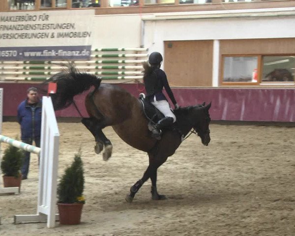 Reitturnier Eicherloh 2018