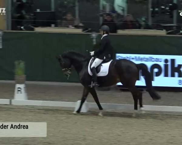 Horsepark Dressage Masters 2018