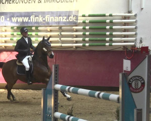 Reitturnier Eicherloh 2018