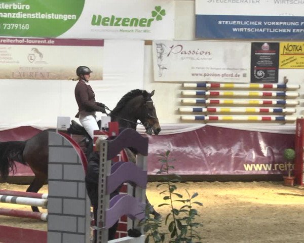 Reitturnier Eicherloh 2018