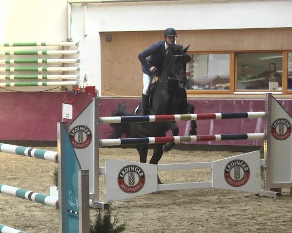 Reitturnier Eicherloh 2018