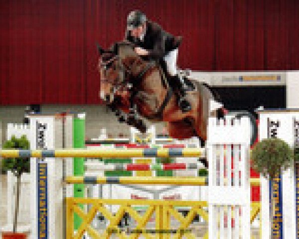 horse Roncalli KZI (Swiss Warmblood, 2001, from Raphael)
