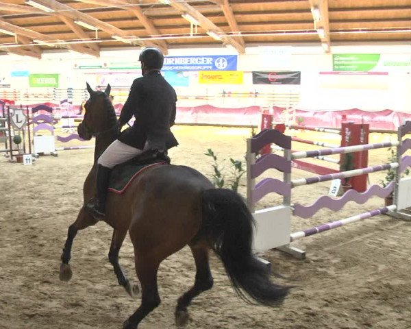Reitturnier Eicherloh 2018