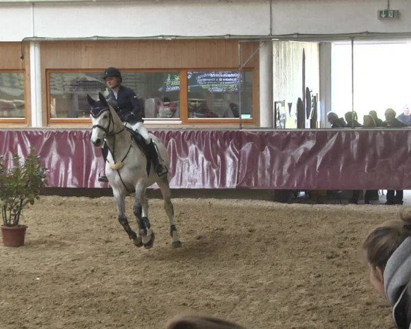 Reitturnier Eicherloh 2018