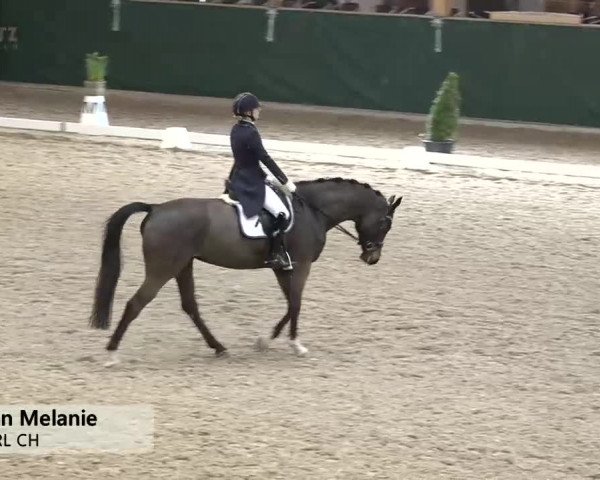 Horsepark Dressage Masters 2018
