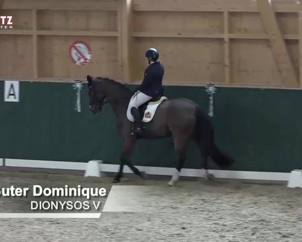 Horsepark Dressage Masters 2018