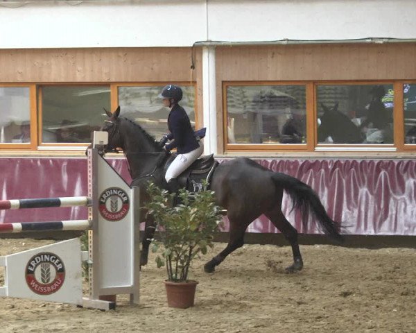 Reitturnier Eicherloh 2018