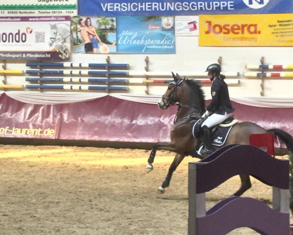 Reitturnier Eicherloh 2018