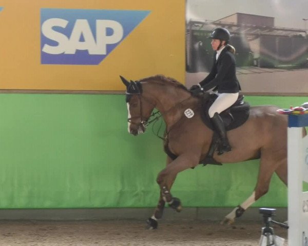 Reitturnier Walldorf 2018