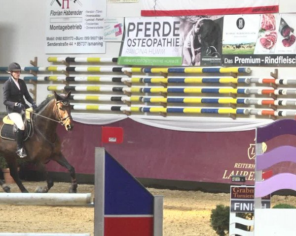 Reitturnier Eicherloh 2018