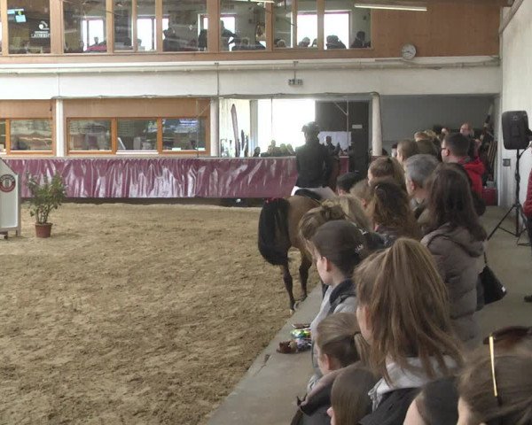 Reitturnier Eicherloh 2018