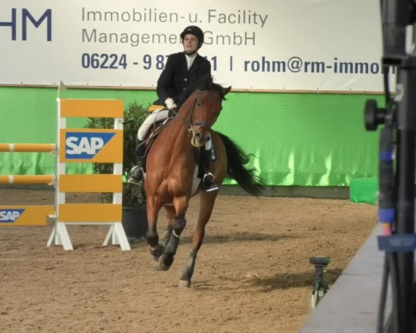 Reitturnier Walldorf 2018