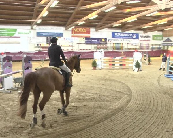 Reitturnier Eicherloh 2018